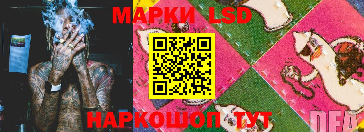 Наркотические марки  Вход с VPN  Камышлов  Наркотические марки 1,8мг 