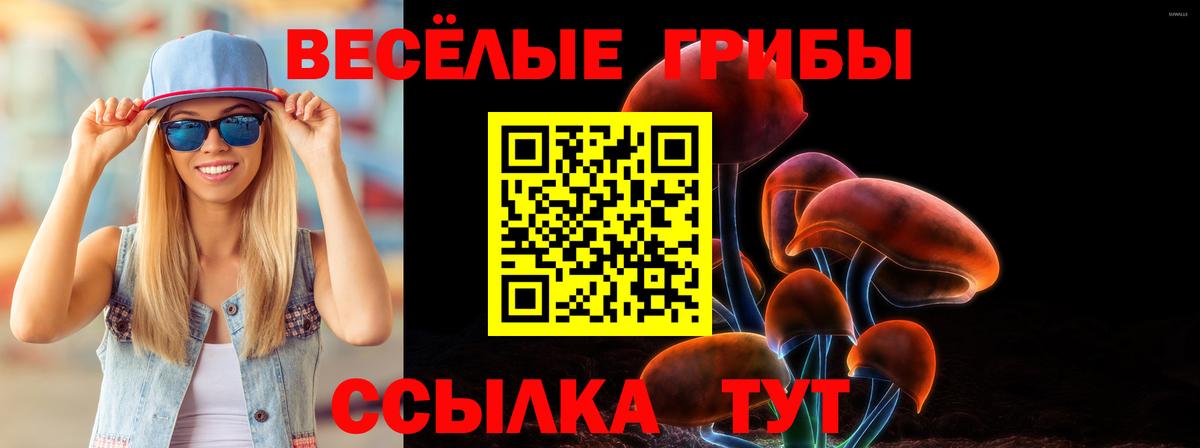 Камышлов  Псилоцибиновые грибы Psilocybine cubensis  Вход с VPN 