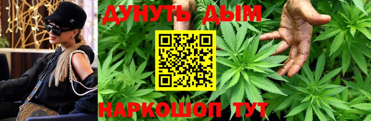Марихуана конопля  Вход с VPN  Камышлов  Канабис White Widow  Марихуана OG Kush  Шишки марихуана план 